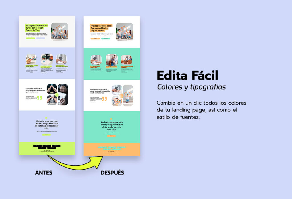 Landing Page + 12 Post